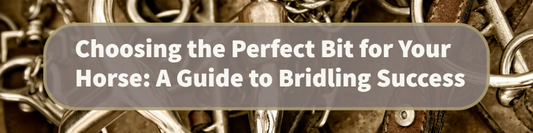 Choosing the Perfect Bit