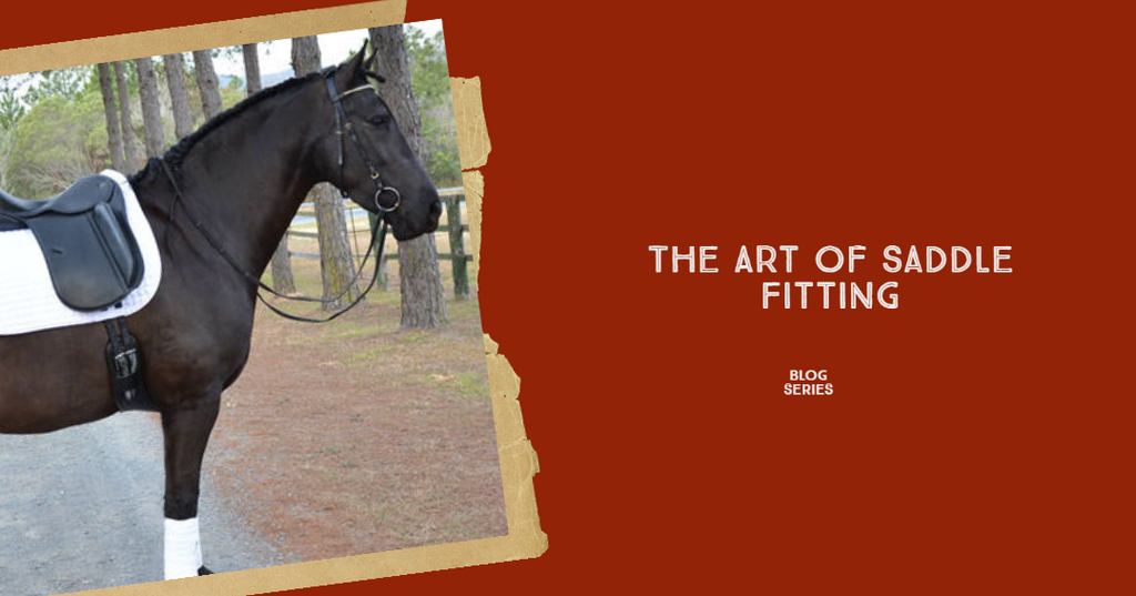 The Interplay Between Hoof Condition and Saddle Fit for Your Horse