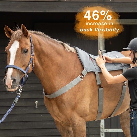 Massage with your horse