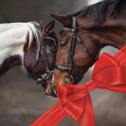 Saddle Up for Adventure: A Guide to Buying the Perfect Horse Riding Gift from Aitken's Saddlery