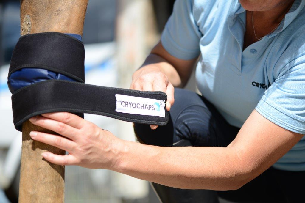 Cryochaps Absolute Ice Wrap Pastern, Hocks or Knees