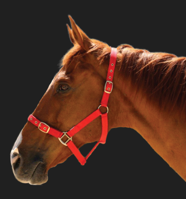 Eureka Nylon Buckle Headstall Red