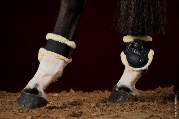 Schockemohle Air Flow Champion Fetlock Fur Boots Black
