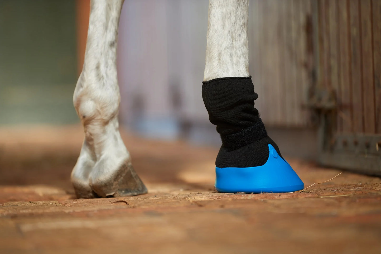 Tubbease Hoof Sock