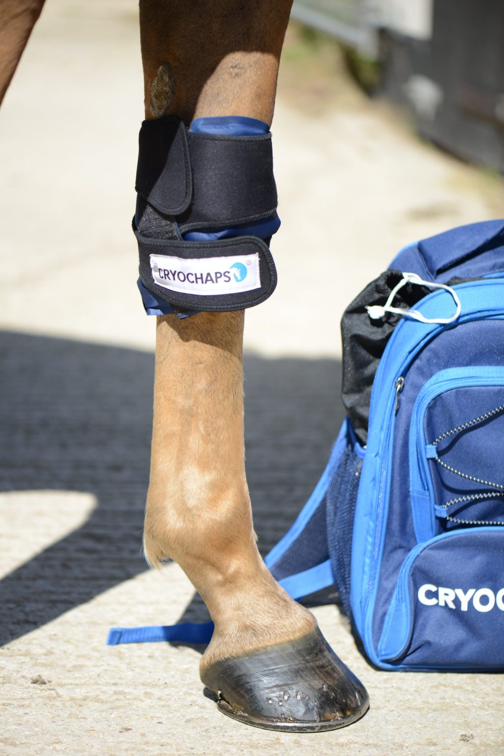Cryochaps Absolute Ice Wrap Pastern, Hocks or Knees