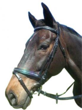 Luciana Double Jewell Hannovrian Bridle Black