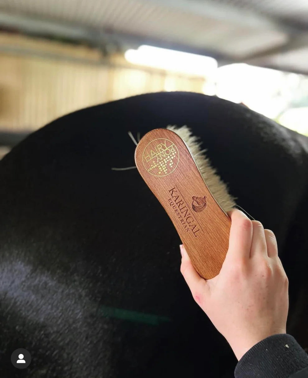 Hairy Pony Flick Brush