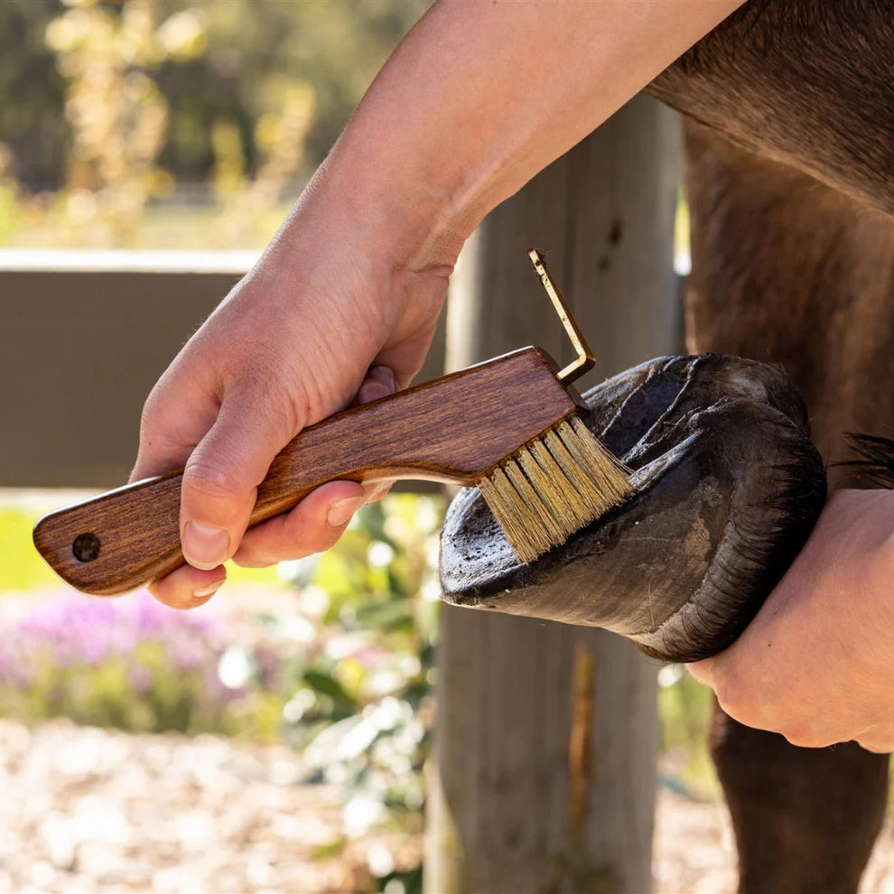 Hairy Pony Original Brush Kit