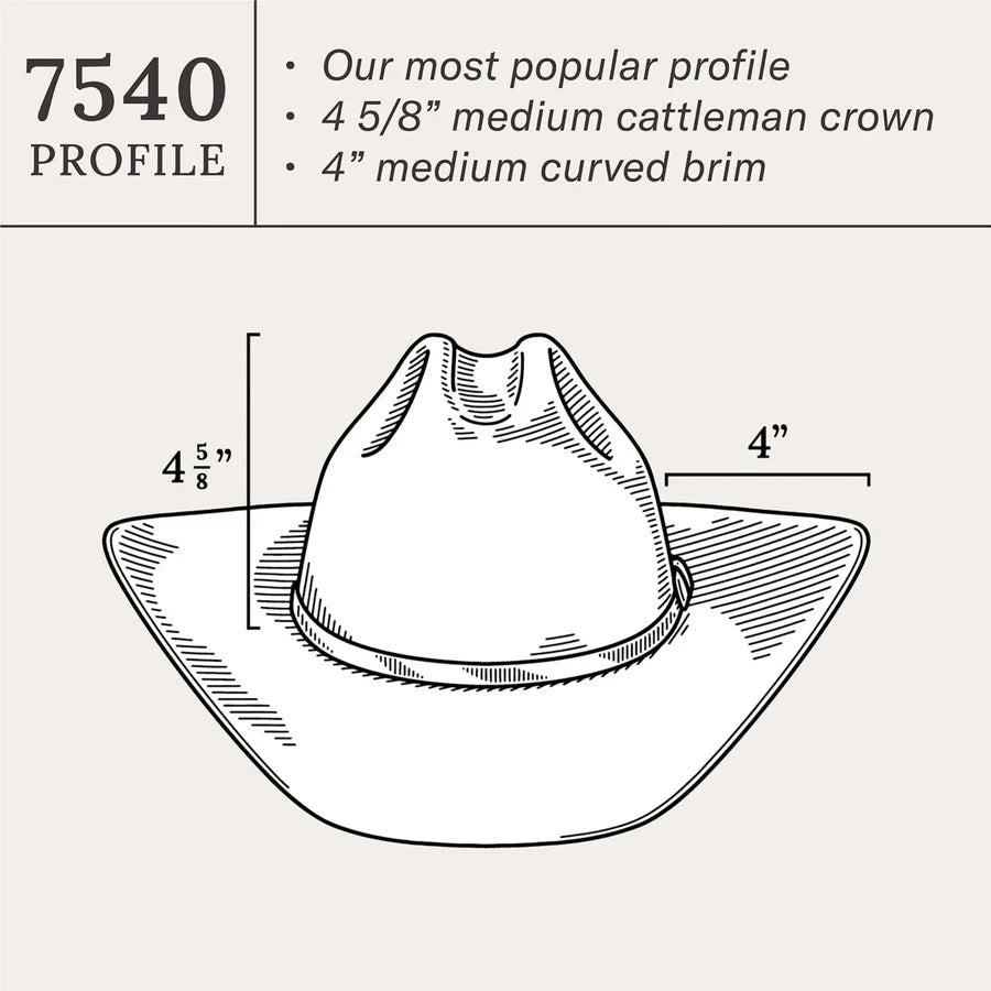 Stetson Skyline Natural Hat Black