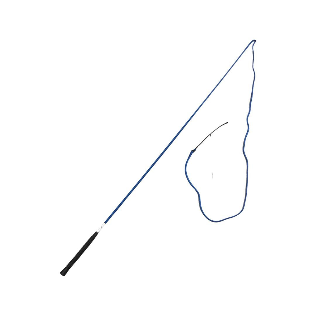 Lunge Whip