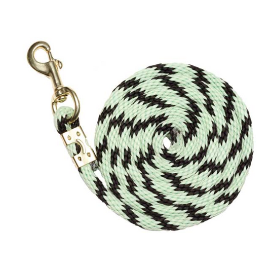 Braided Nylon Lead Black & Mint