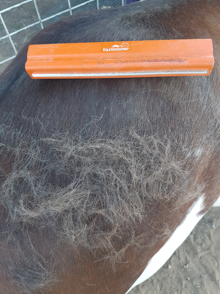 Equigroomer Small