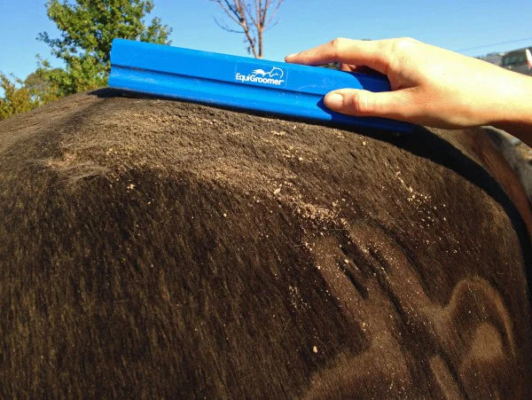 Equigroomer Small