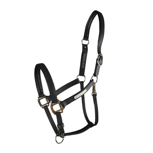 Equilibrium Stellar Headcollar II