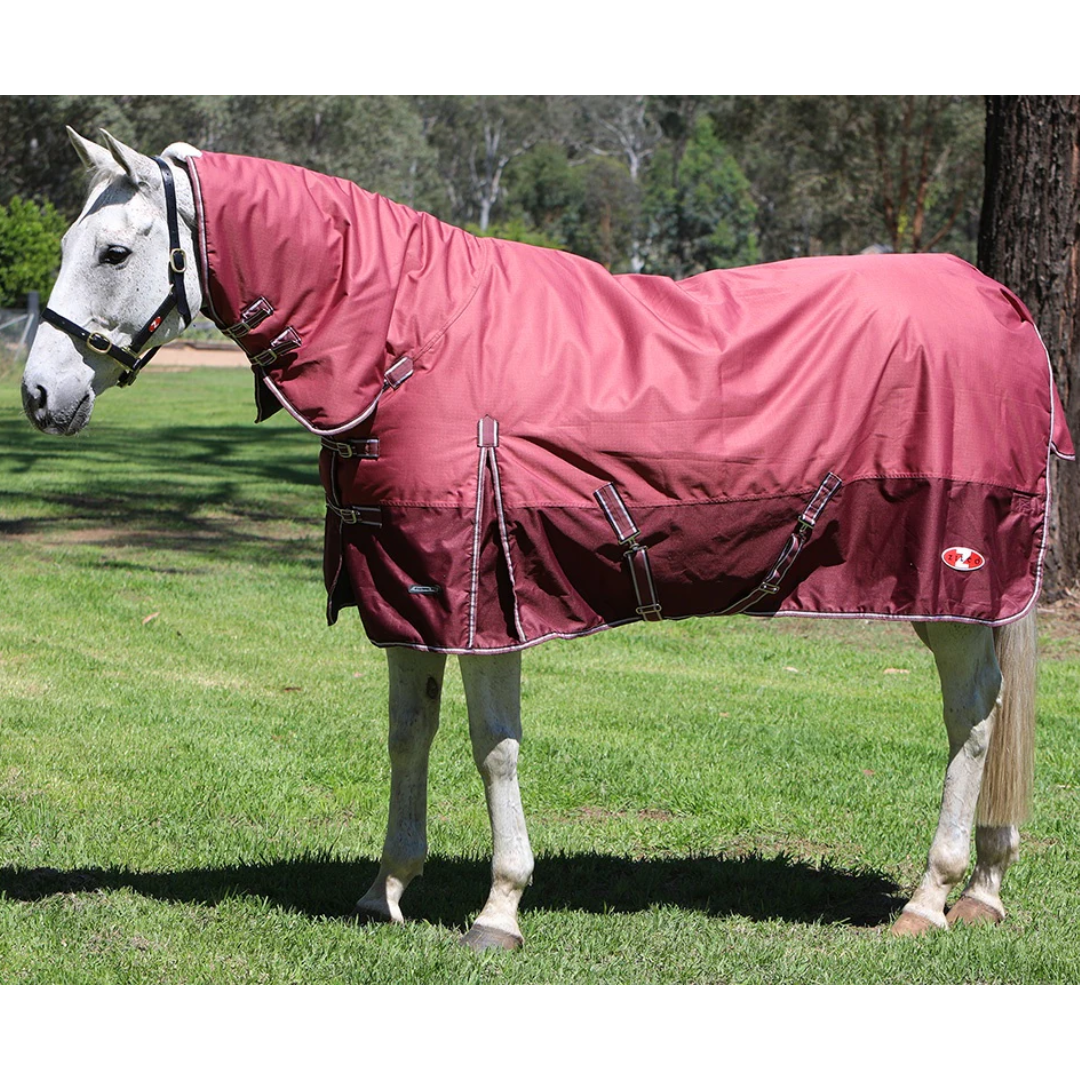 Explorer 200 Combo Burgundy & Silver