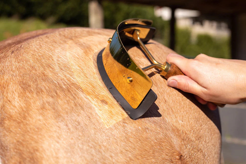 Hairy Pony Gold Sweat Scraper