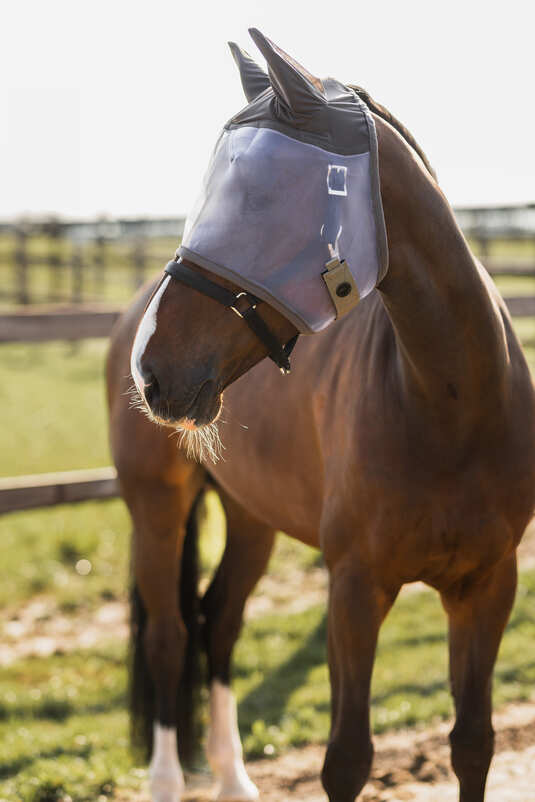 Horze Mountain Essence Fly Mask Fallen Rock