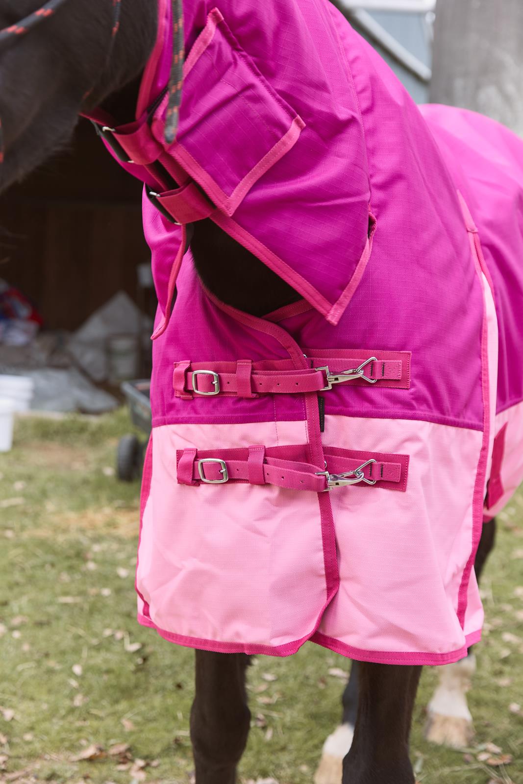 Eureka Bounty Medium Winter Combo Pink