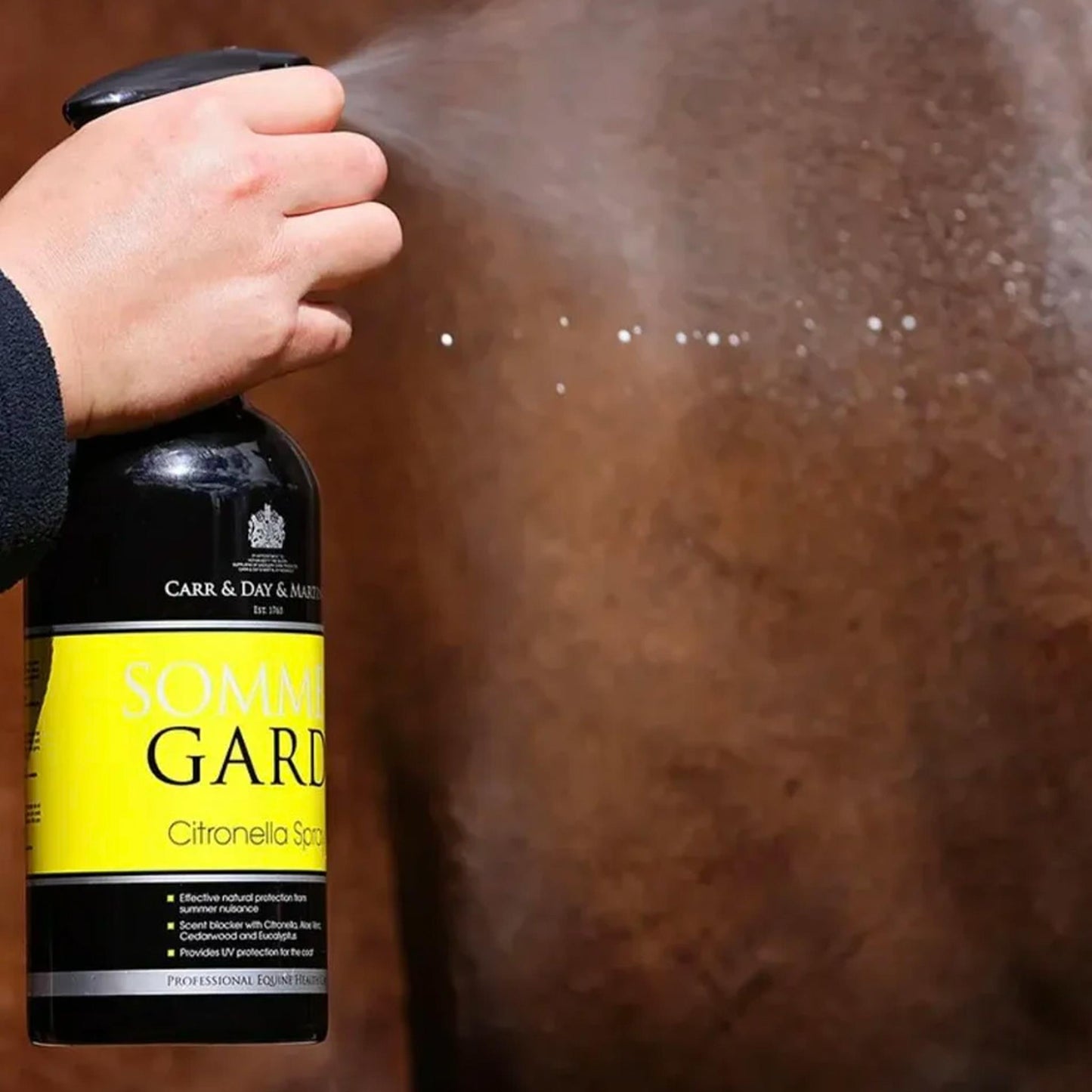 Carr Day & Martin Sommergard
