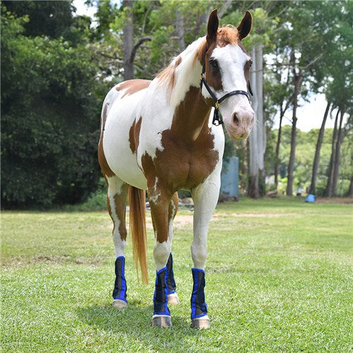 Horsemaster Ballistic Insect Boots