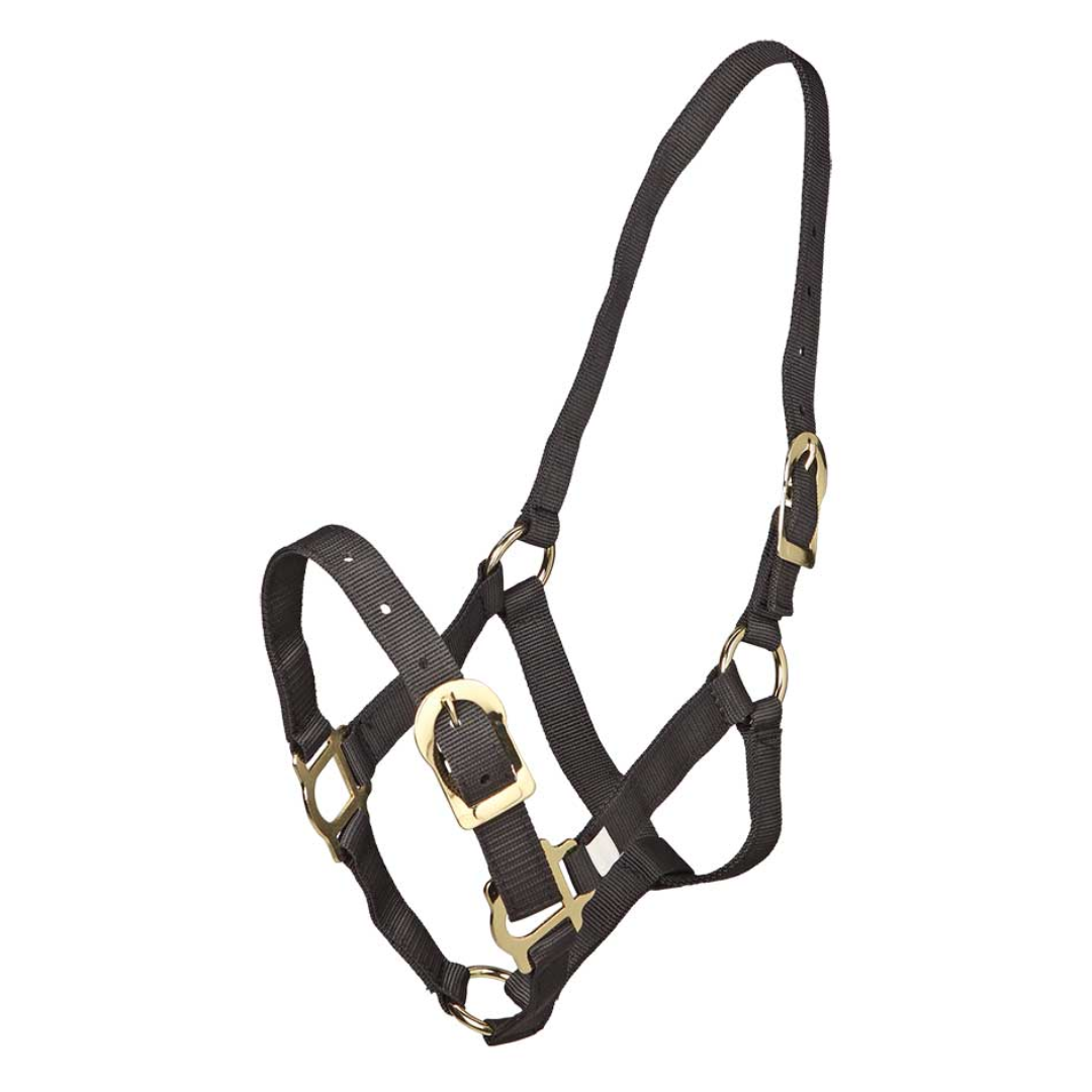 Headstall Brass Fittings Black
