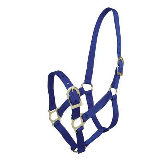 Headstall Brass Fittings Royal Blue
