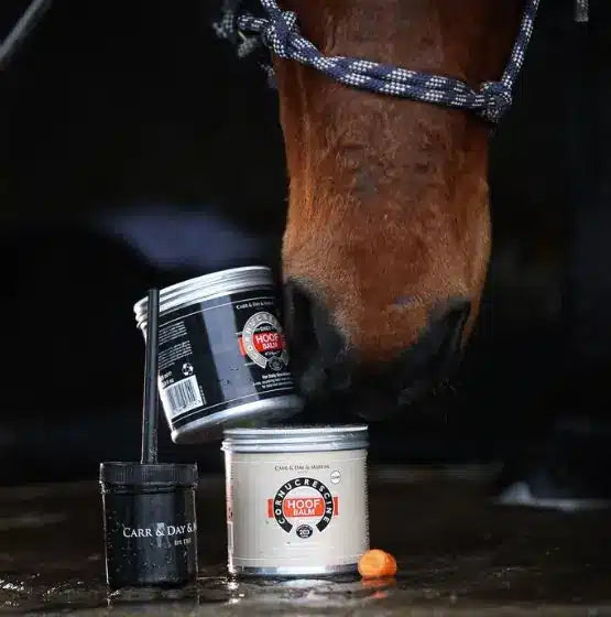 CDM Cornucrescine Hoof Balm