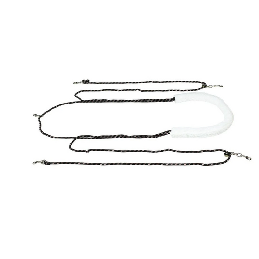 Horze Lunging Aid