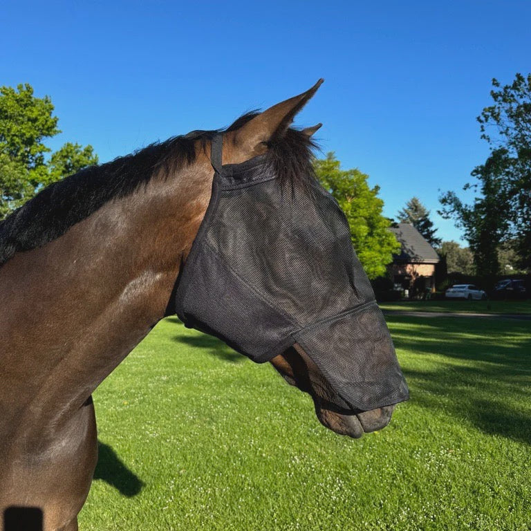 Eureka Standard Fly Mask with Nose
