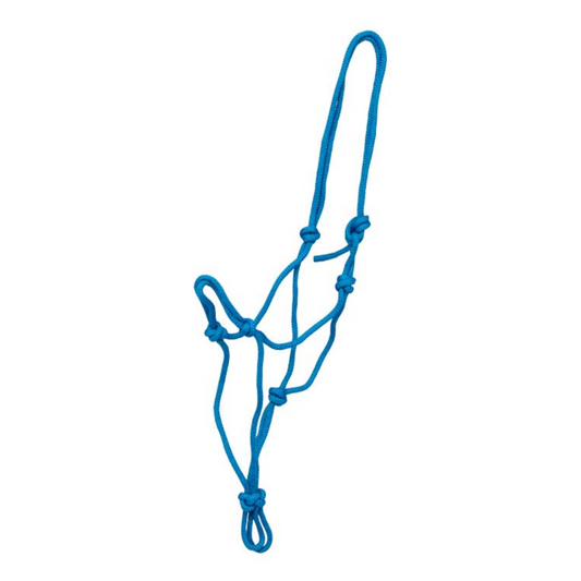Knotted Rope Economy Halter Blue