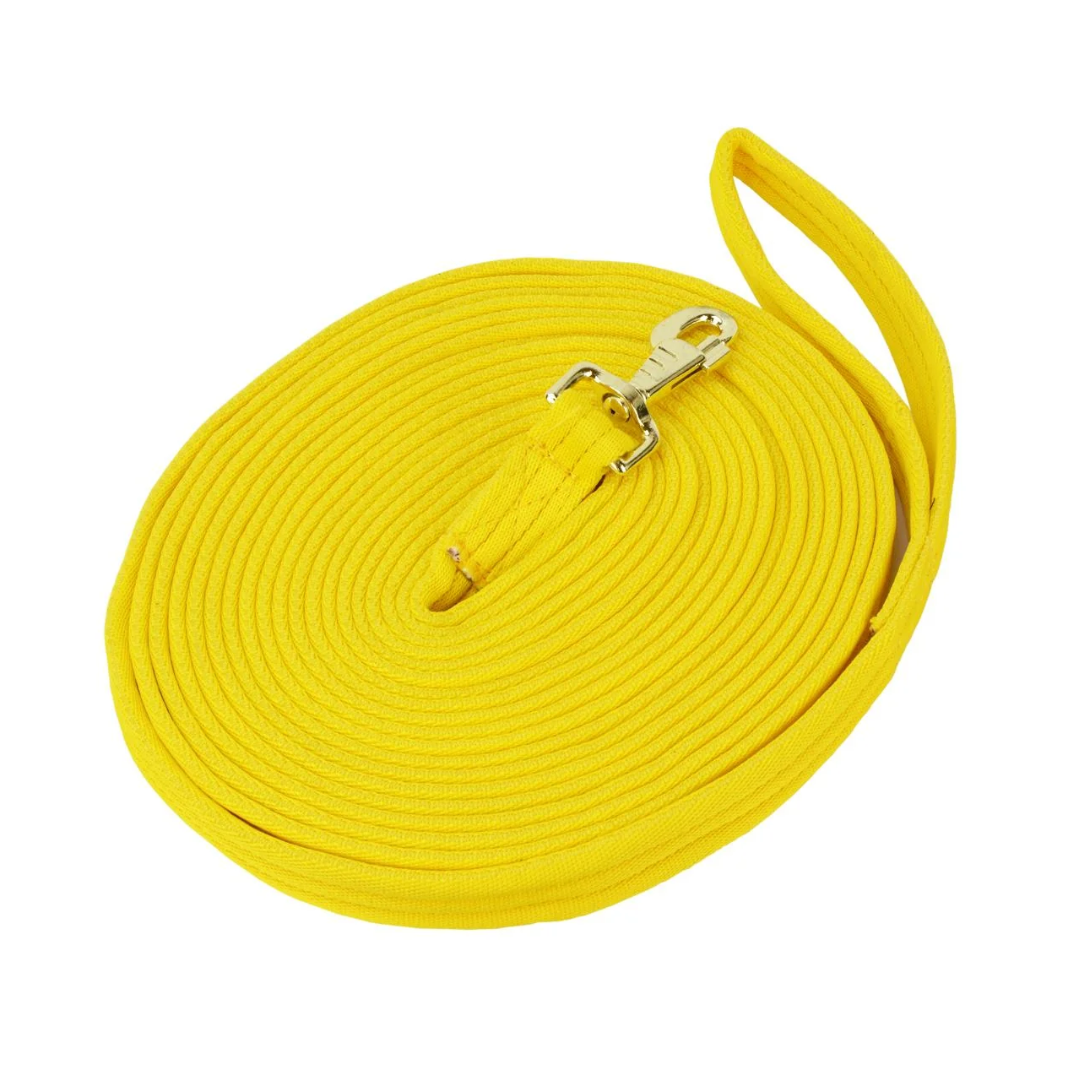 Lunge Rein in Carry Bag