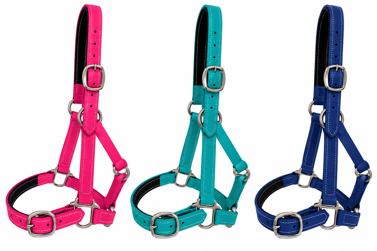 Porter PVC Halter Miniature Pony
