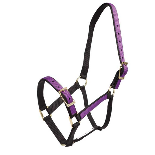 Overlay Headstall Black & Purple