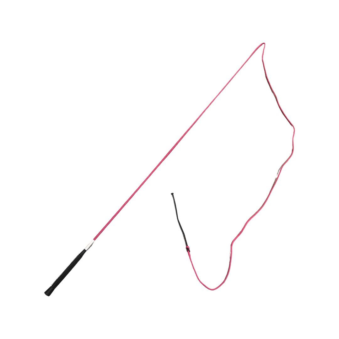 Lunge Whip