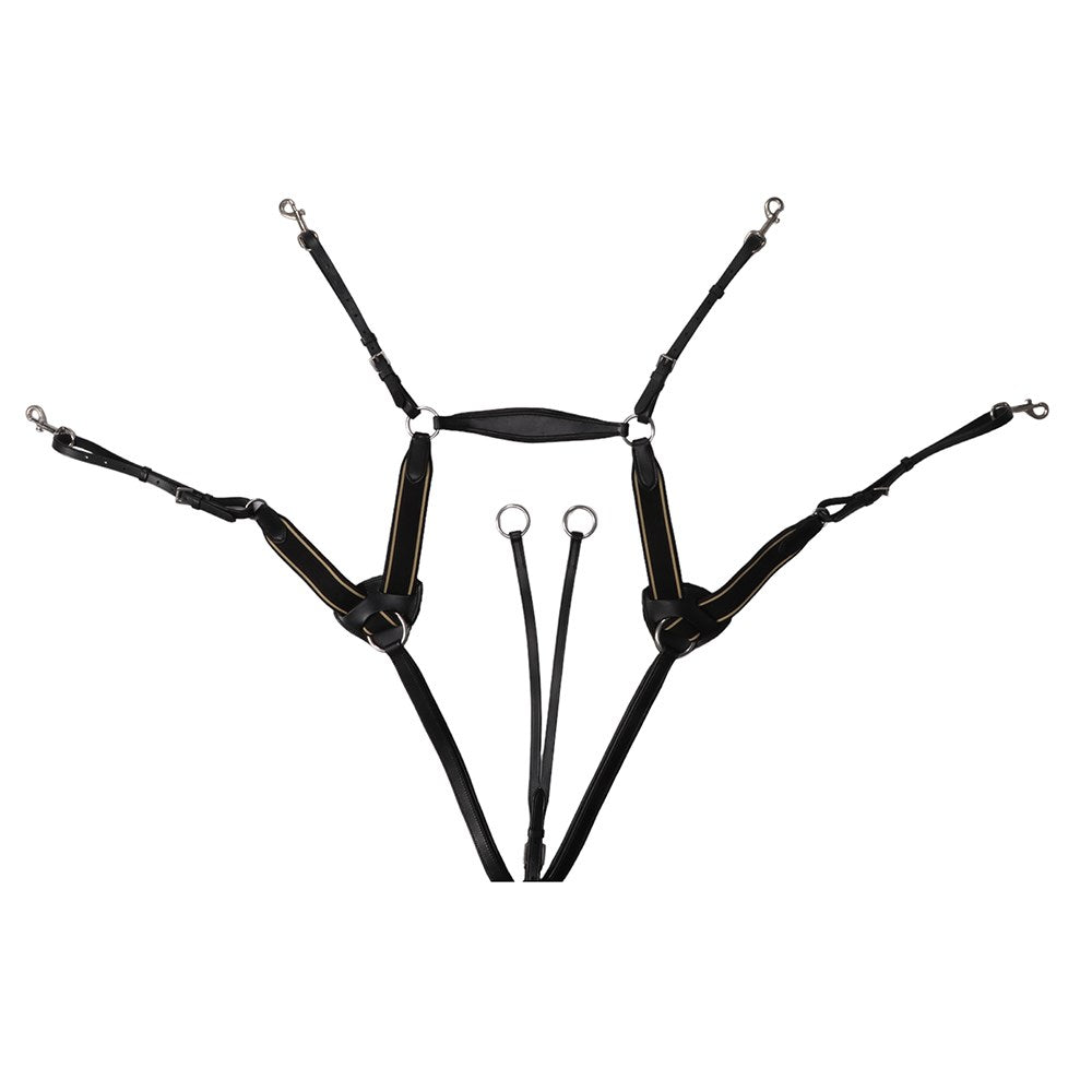 Jeremy and Lord Five Point Breastplate