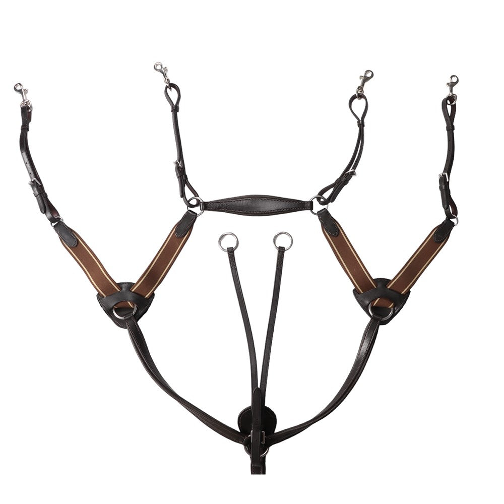 Jeremy and Lord Five Point Breastplate