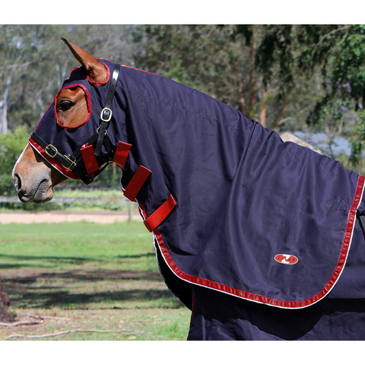 Show Circuit Cotton Hood Navy