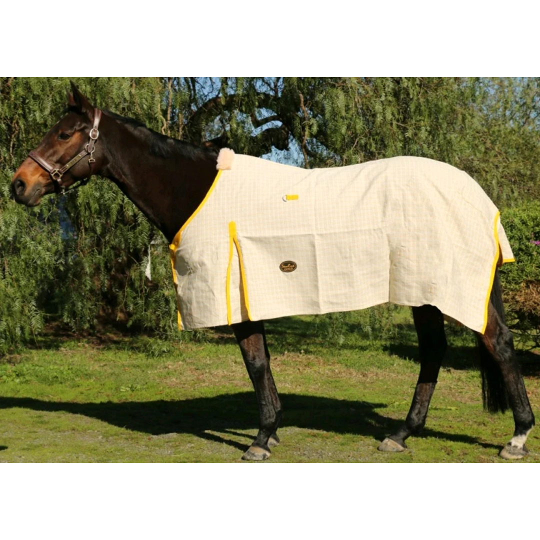 Showcraft Gold Canvas Ripstop Rug Cream Check