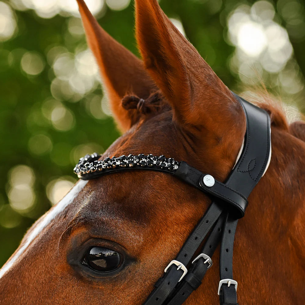 Lumiere Sibella Bridle Hannovrian