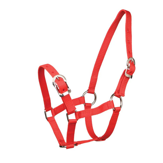 Small Pony Halter Red