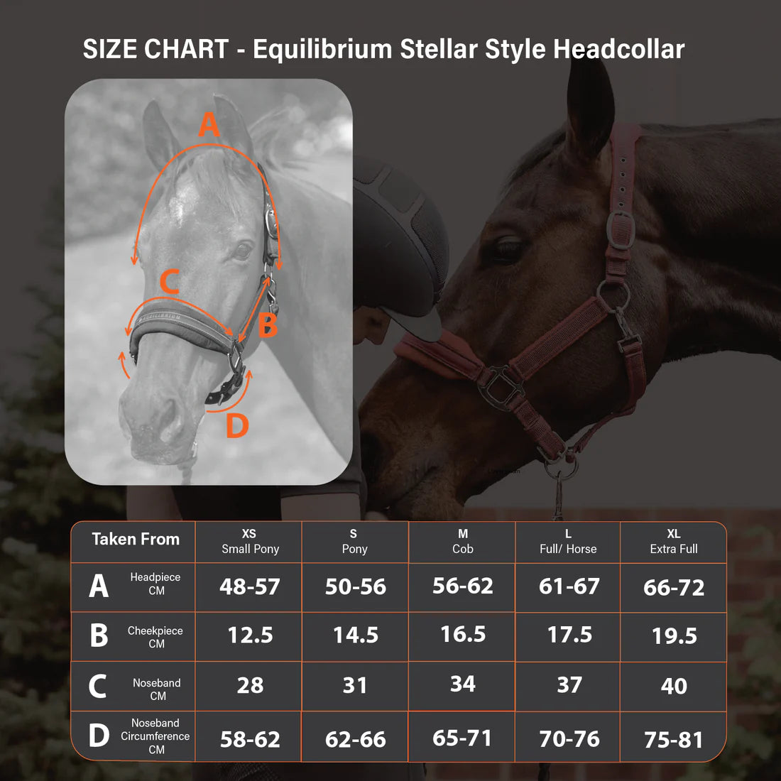 Equilibrium Stellar Style Halter
