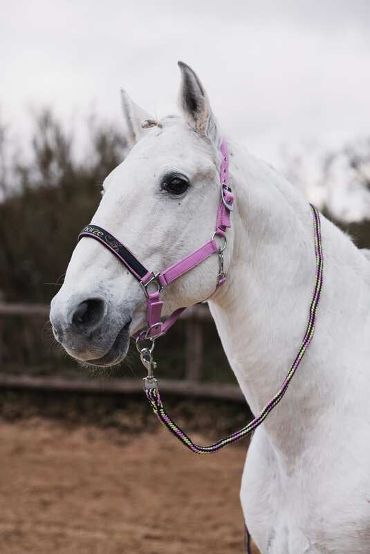 Horze Graffiti Pony Halter Set