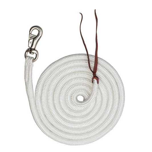 Training Lead with Bull Snap 12 Foot White