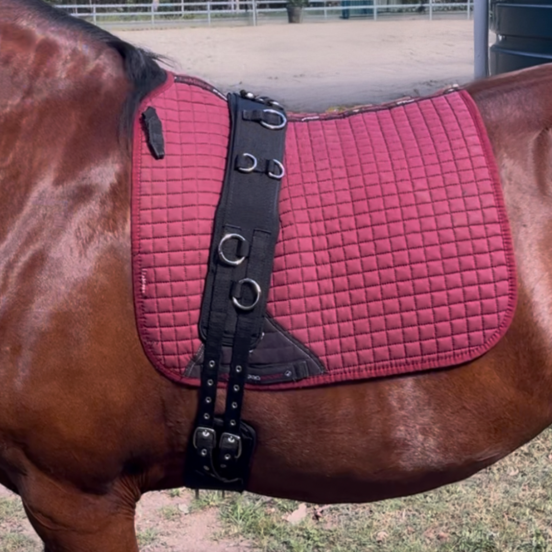 Anti Gall 2 Piece Lunge Roller