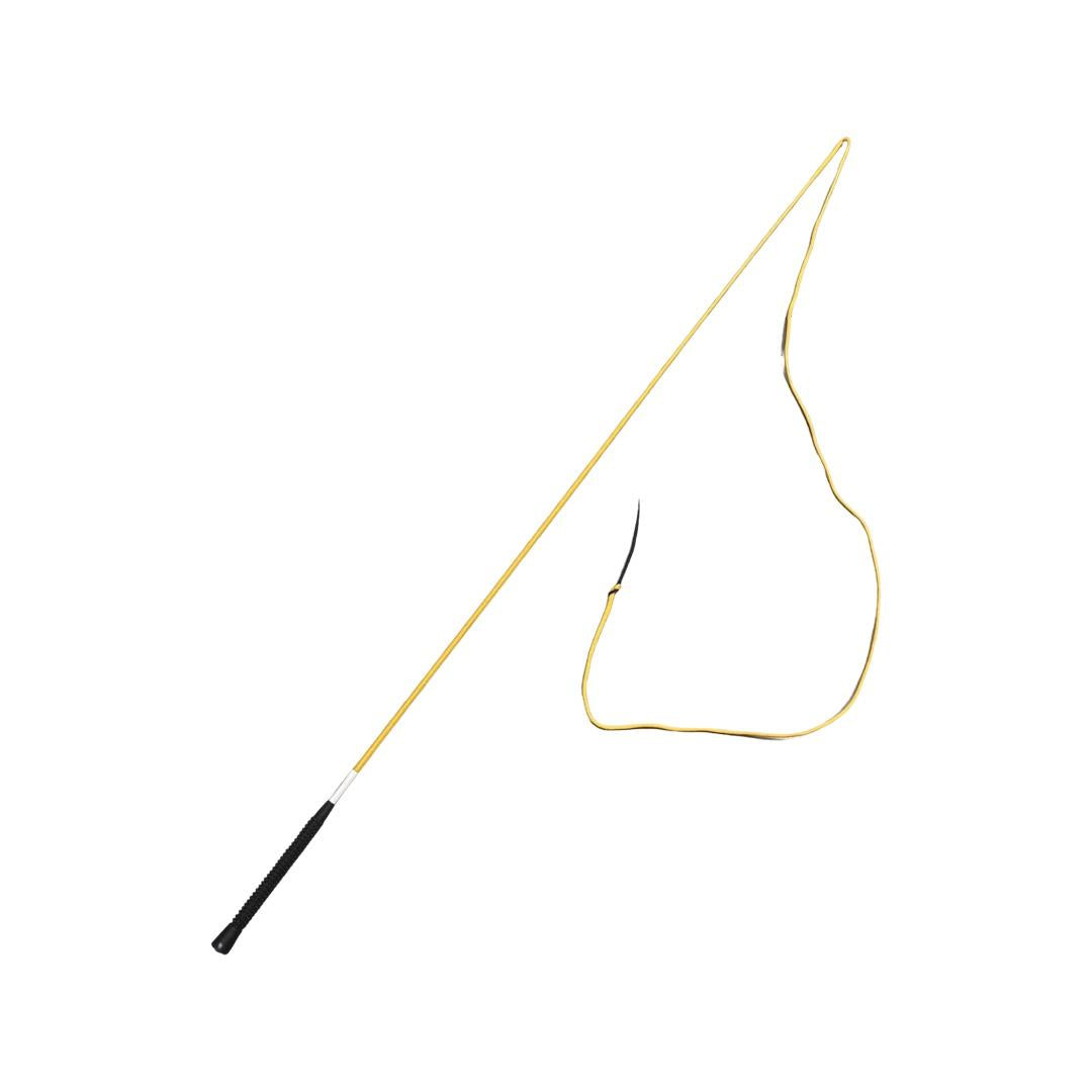 Lunge Whip