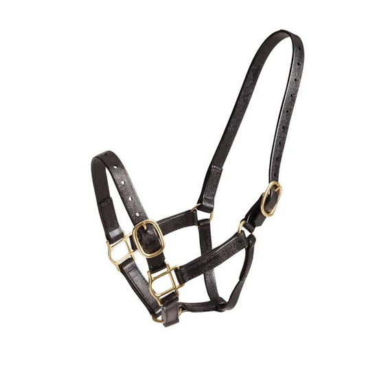 Zilco 25mm PN Headstall Black