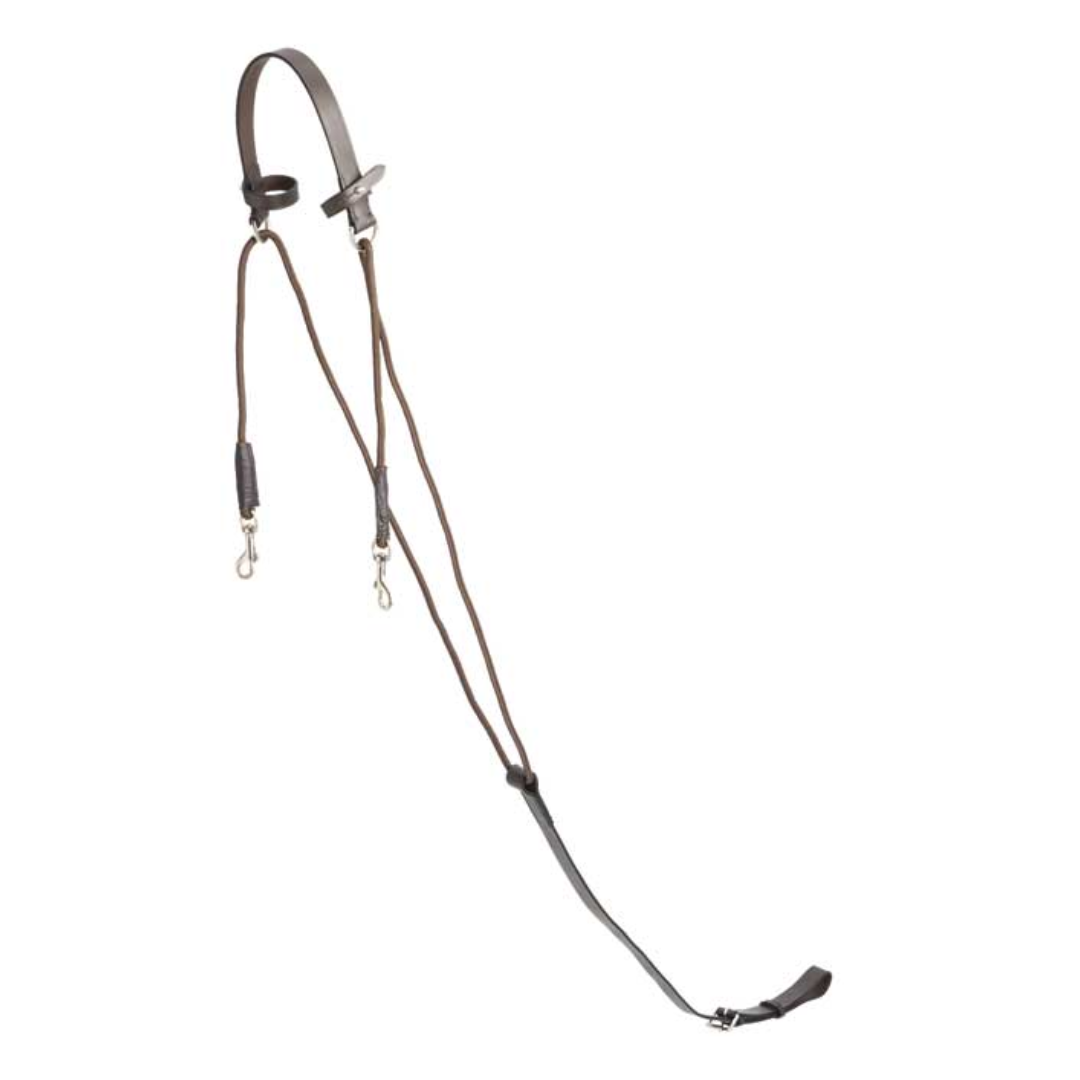 Aintree Chambon Martingale Brown
