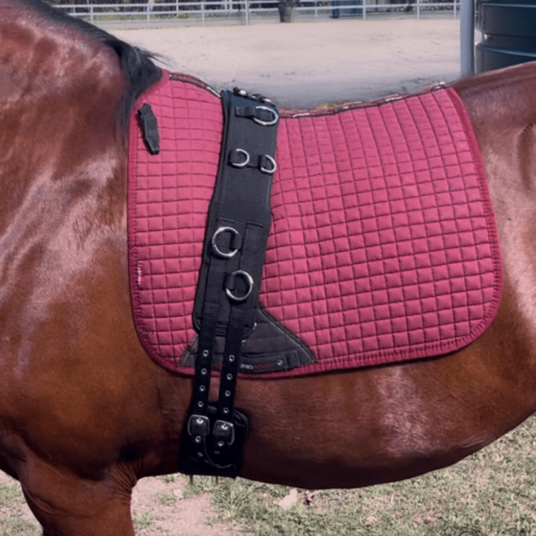 Anti Gall 2 Piece Lunge Roller - Aitken's Saddlery