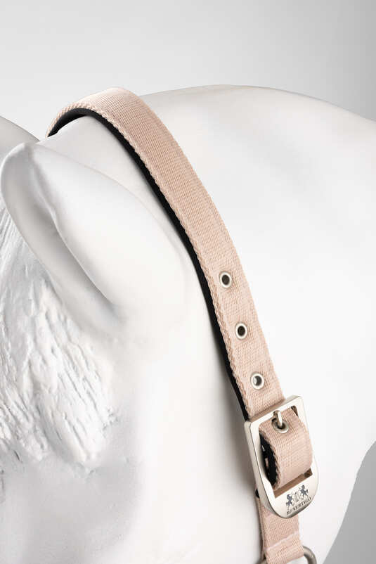 B Vertigo Hardwick Halter - Aitken's Saddlery