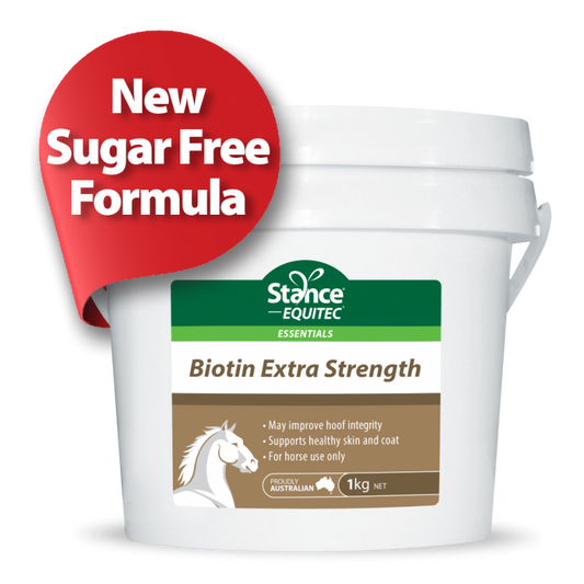 Stance Essentials Biotin Extra Strength
